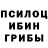 Галлюциногенные грибы MAGIC MUSHROOMS Tasrick Hasan