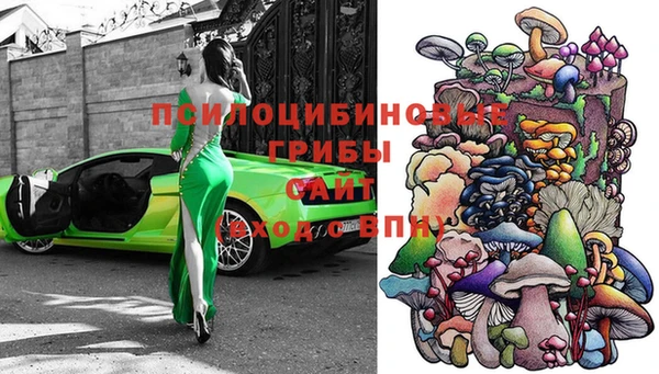 a pvp Алзамай