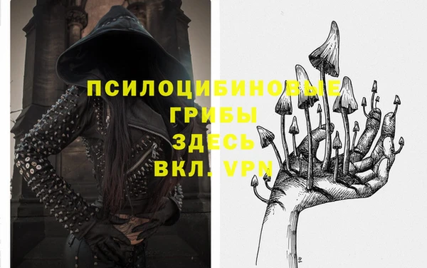 герыч Арсеньев