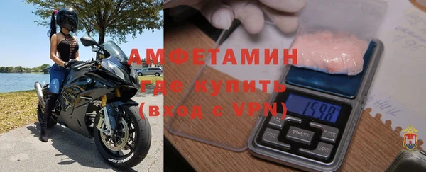 сатива Аркадак