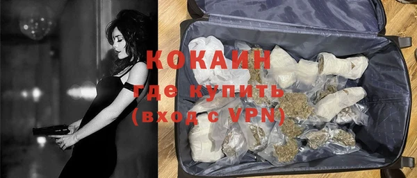 сатива Аркадак