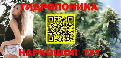гидропоника Шебекино