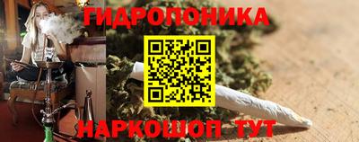 трава Шелехов