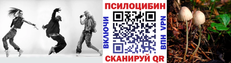 Псилоцибиновые грибы Cubensis  сколько стоит  Белгород 